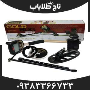 فلزیاب فیشر گلد باگ
