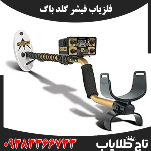 فلزیاب فیشر گلد باگ