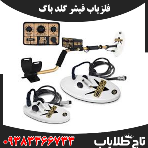 فلزیاب فیشر گلد باگ